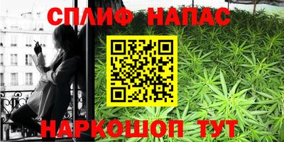 молекула духа Ефремов