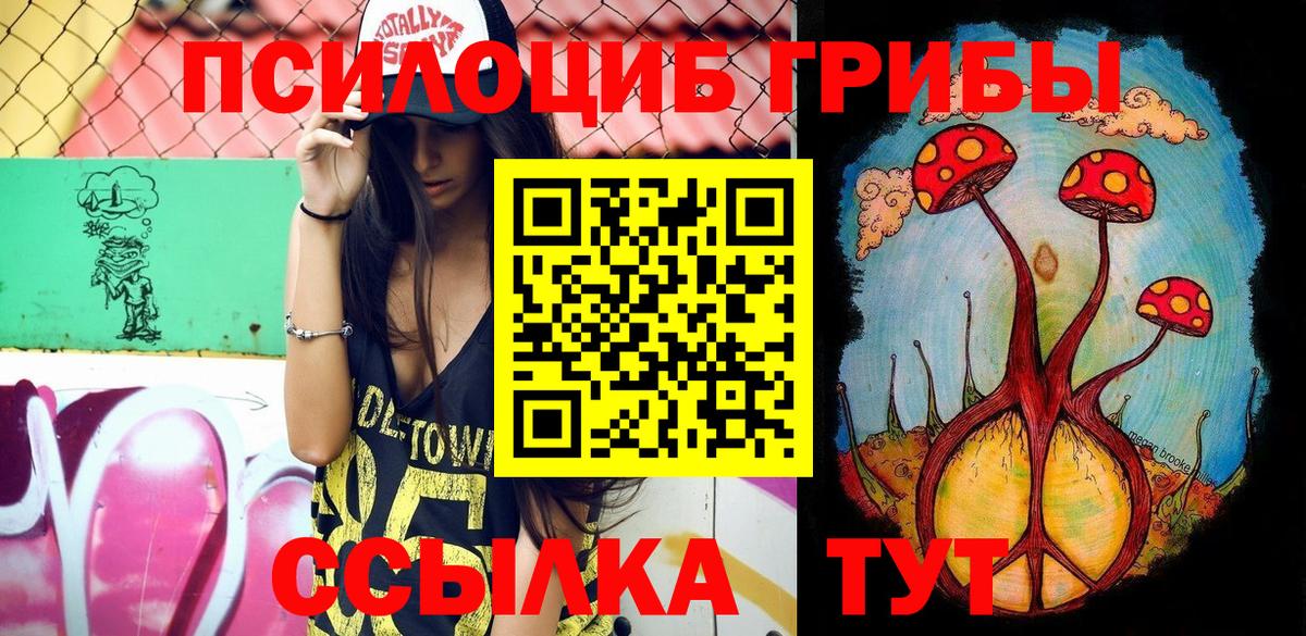 Димитровград  Галлюциногенные грибы Cubensis  Вход с VPN 