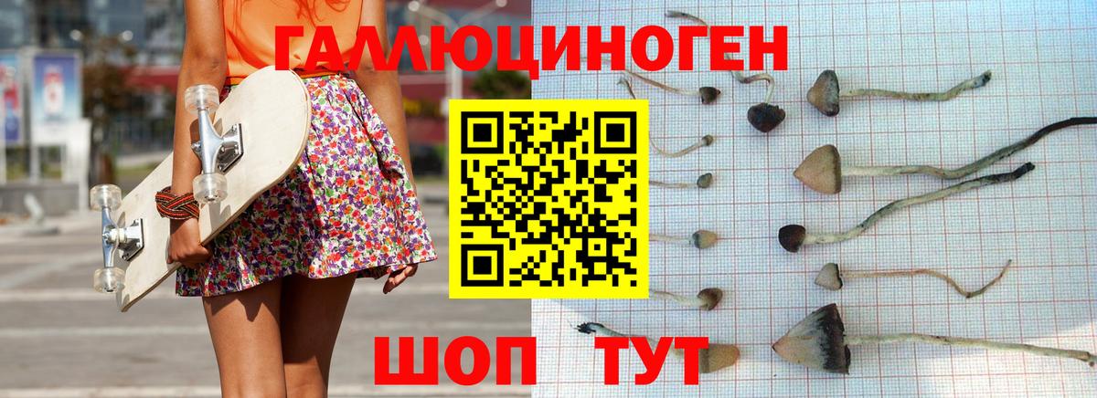 Псилоцибиновые грибы прущие грибы Димитровград