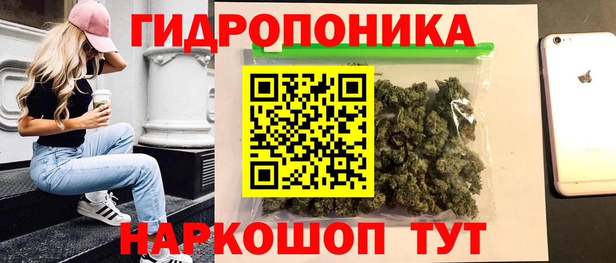 Конопля Bruce Banner  МАРИХУАНА марихуана  Вход с VPN  Димитровград 